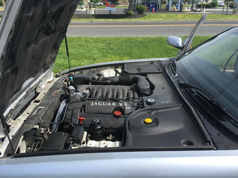 Illustration for article titled Here's everything wrong with my $3000-ish Daily Driven Jaguar XJ8